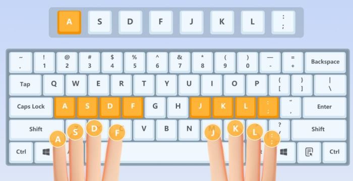 打字练习软件下载金舟打字通(新手打字练习软件)V2.0.0官方安装版下载 打字练习软件下载金舟打字通(新手打字练习软件)V2.0.0官方安装版下载