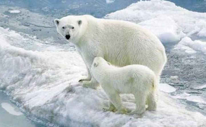 1658133626128169.jpg 1658133626128169.jpg