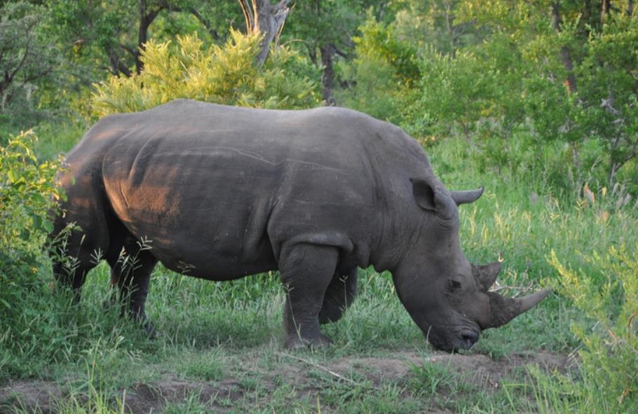 1658399608137741.jpg 1658399608137741.jpg