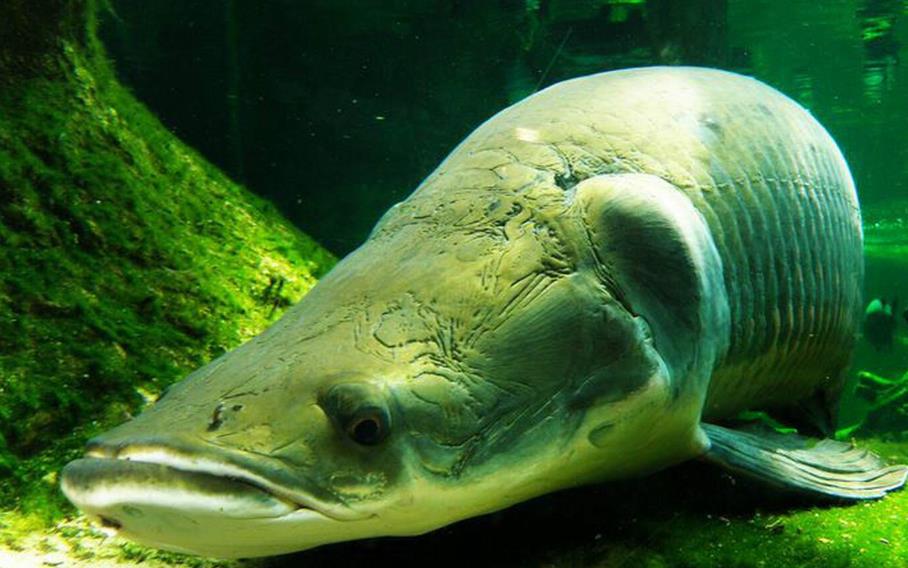 1658399634117715.jpg 1658399634117715.jpg