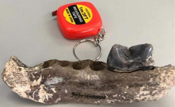 1659520909132018.jpg 3.jpg