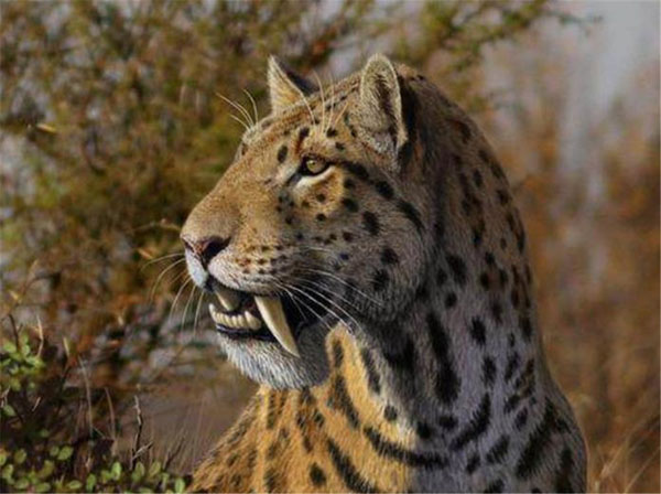 1659595857163391.jpg 2.jpg