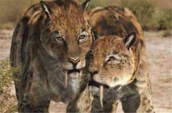 1659595865773550.jpg 3.jpg