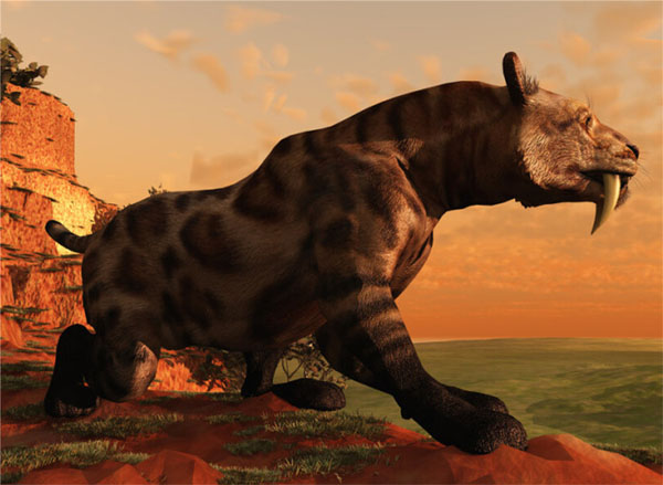 1659595876198736.jpg 5.jpg