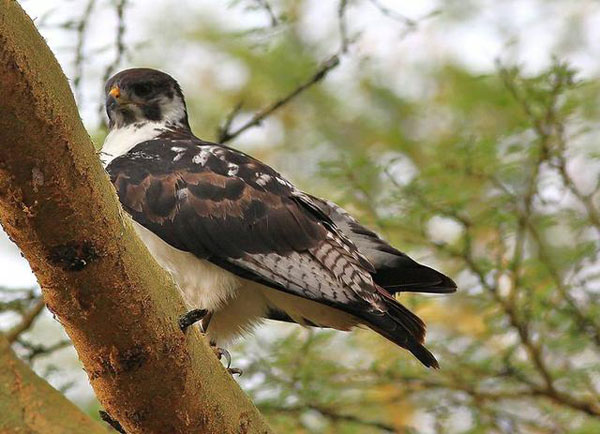 1659683001147677.jpg 2.jpg