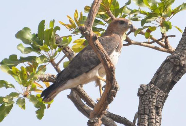 1659683010721422.jpg 3.jpg