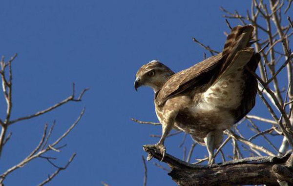 1659683021148601.jpg 4.jpg