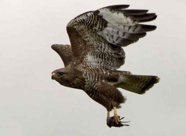 1659683038539999.jpg 6.jpg