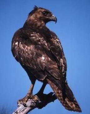 1659683051203350.jpg 7.jpg