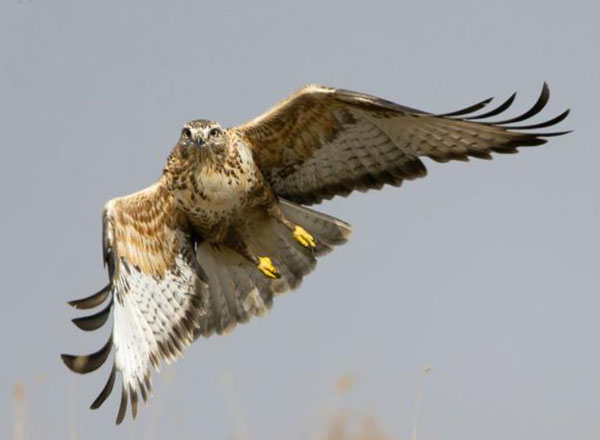 1659683063208539.jpg 8.jpg