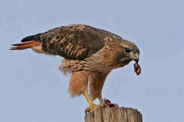 1659683071190980.jpg 9.jpg