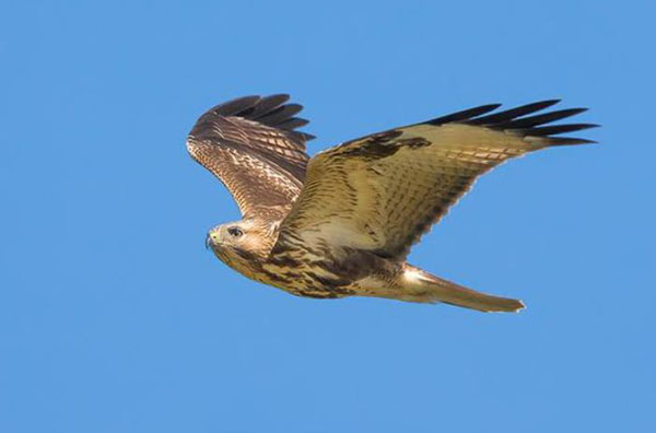 1659683078134908.jpg 10.jpg