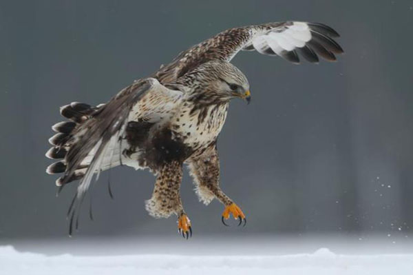 1659683087107878.jpg 11.jpg