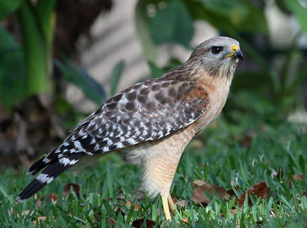 1659683095206369.jpg 12.jpg