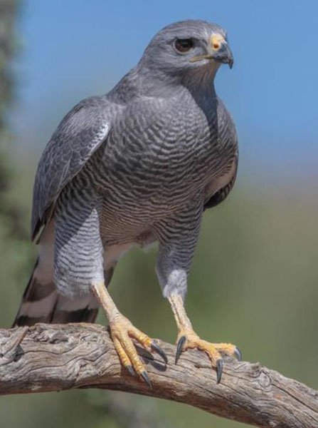 1659683102181928.jpg 13.jpg