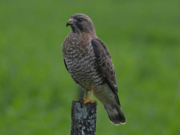 1659683119120470.jpg 15.jpg