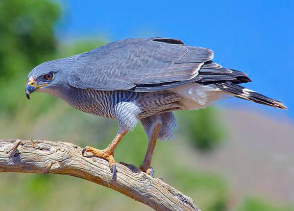 1659683134110844.jpg 17.jpg