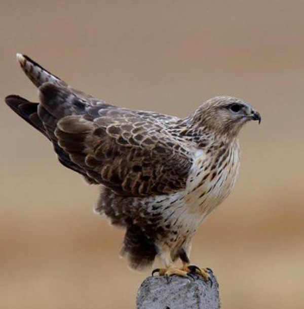 1659683156936766.jpg 20.jpg