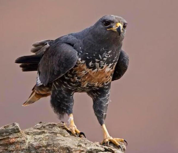 1659683164110693.jpg 21.jpg