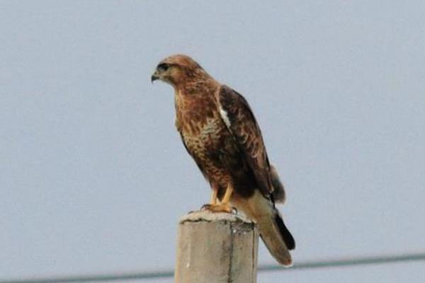 1659683174171385.jpg 22.jpg