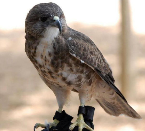 1659683182171952.jpg 23.jpg