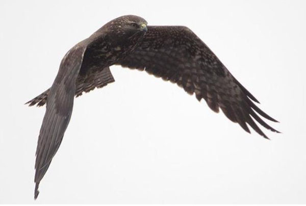 1659683195508058.jpg 24.jpg