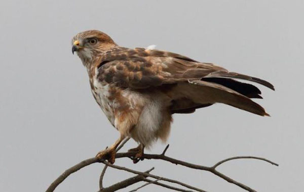 1659683221171333.jpg 25.jpg