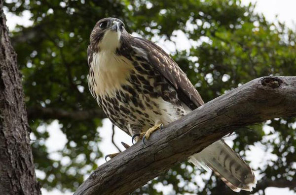 1659683274190604.jpg 26.jpg