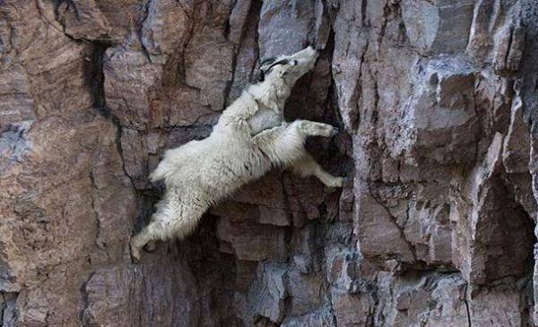 1659950137335041.jpeg 1.jpeg