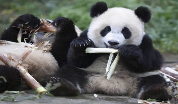 1659951769651663.jpeg 4.jpeg