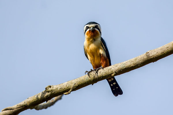 1660731871476364.jpg 1.jpg