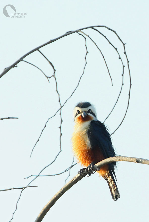 1660731879252280.jpg 2.jpg