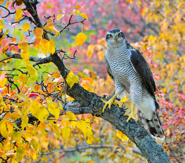 1661150462110136.jpg 1.jpg