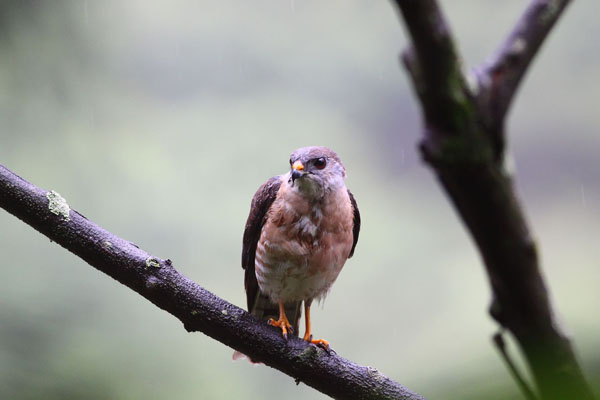 1661150476391839.jpg 3.jpg