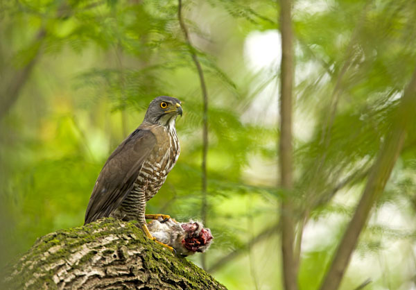 1661150482181470.jpg 4.jpg