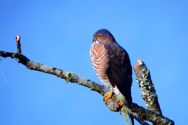 1661150598259008.jpg 6.jpg