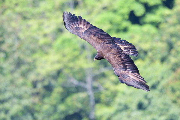 1661150612476999.jpg 8.jpg