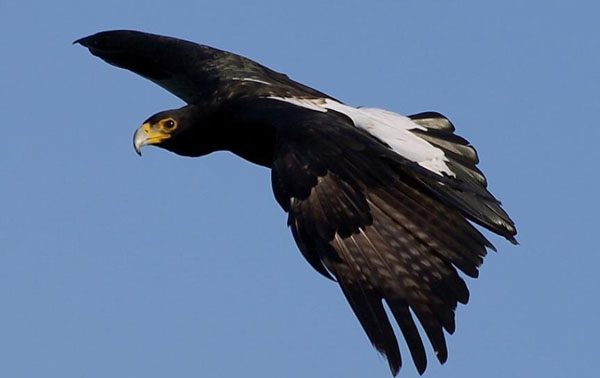 1661150620370718.jpg 9.jpg