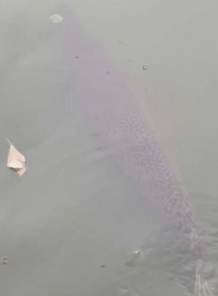 1661325852886900.jpg 2.jpg