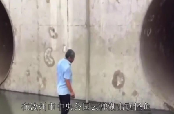 1661325899106400.jpg 3.jpg