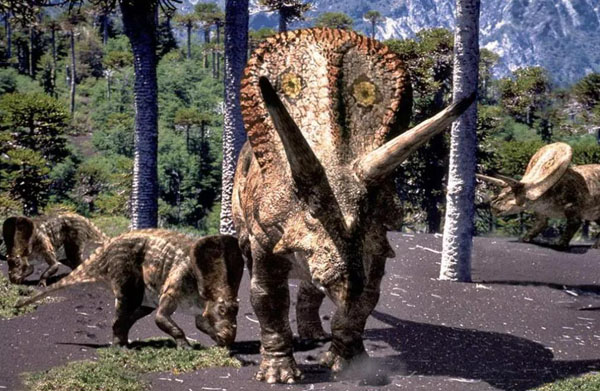 1661333130576045.jpg 2.jpg