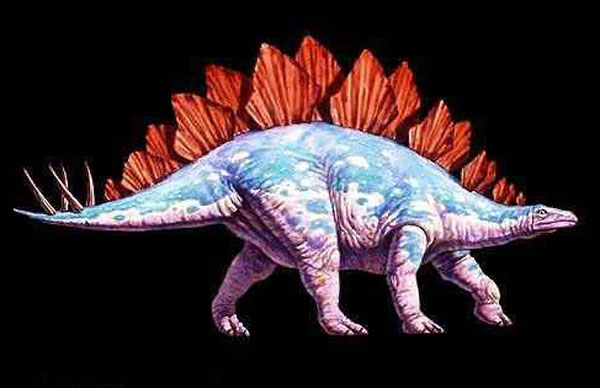 1661334704153329.jpg 3.jpg