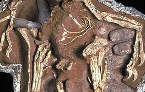 1661499226475195.jpg 2.jpg