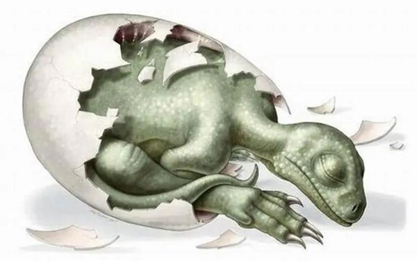 1661499286186724.jpg 4.jpg