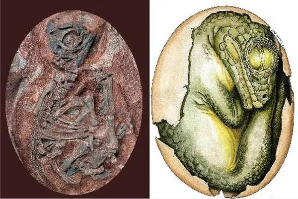 1661499308390476.jpg 6.jpg