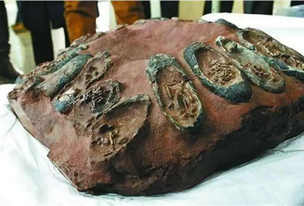 1661499324149440.jpg 8.jpg