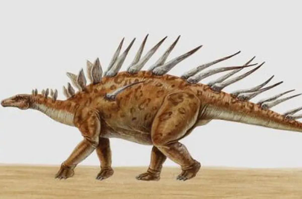 1661927208210701.jpg 2.jpg