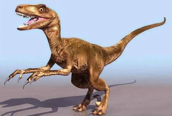 1661927215101461.jpg 3.jpg