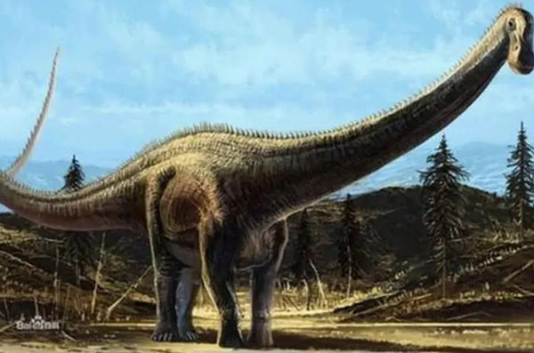 1661927224689713.jpg 5.jpg