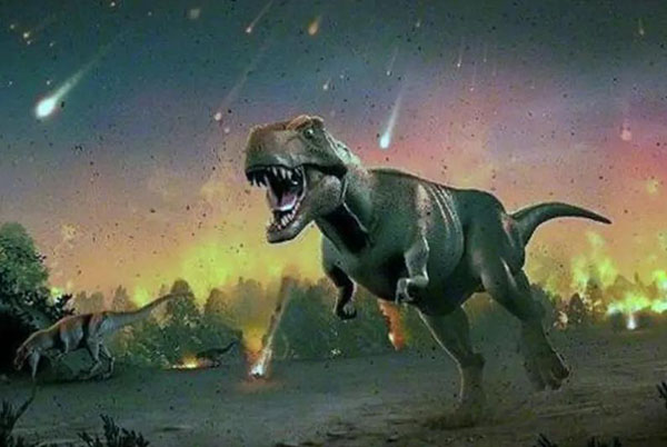 1661927232113640.jpg 6.jpg